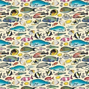 Pacific Reef Fishes (cream)