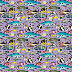 Pacific Reef Fishes (purple)