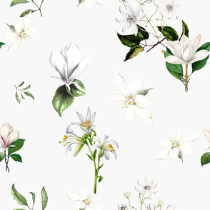 White flowers,magnolia,vintage art