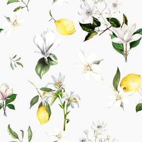 White flowers,lemons,citrus,magnolia,