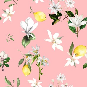 White flowers,lemons,citrus,magnolia,