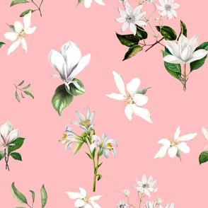 White flowers,magnolia,vintage art