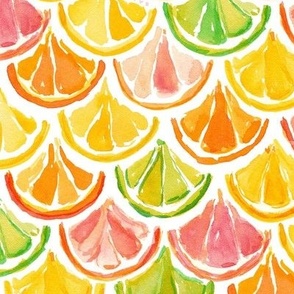 CITRUS SCALLOP Colorful Fruit Slices