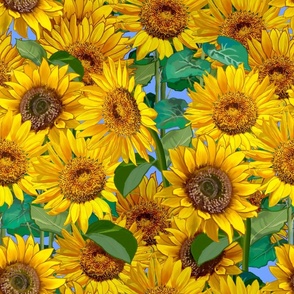 Gratitude - Sunflowers -1 - Petal Power