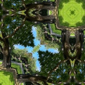 Jumbo Scale nature walk among the trees, with green grass, tree bark and blue sky .  Symmetrical pattern tile mosaic for upholstery, table linen, cabin decor, forest office, summer camp