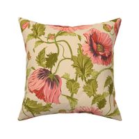 Large pink Poppy flowers _Vintage Poppies