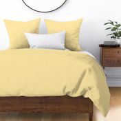 Squish-Squash 311 fee8a6 Solid Color Benjamin Moore Classic Colours