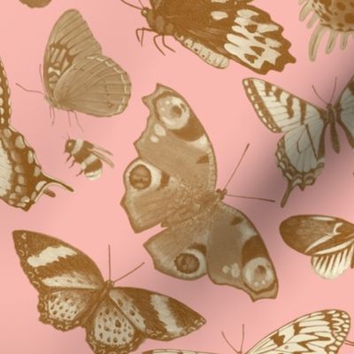 Neutral Butterflies on Pink