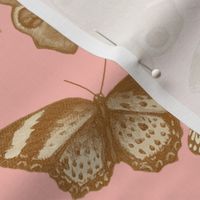 Neutral Butterflies on Pink