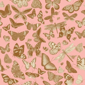 Neutral Butterflies on Pink