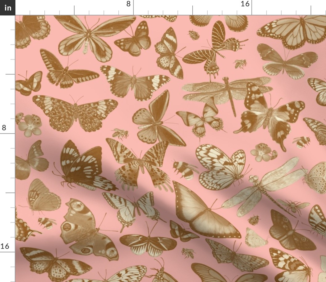 Neutral Butterflies on Pink