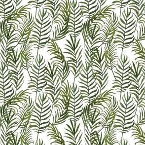Palm Leaves on White Background