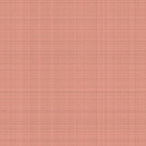 textured solid Peach