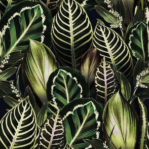 Green Exotic Foliage Pattern