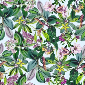 Summer Foliage Pattern