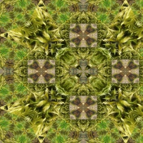 patchwork ancient moss