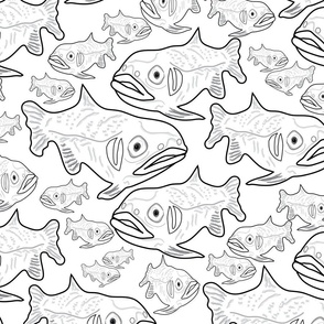 Fish Black and White Neutral Coloring Customize 4200_v01; kid, cute, cuter, cutest kids sheets