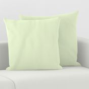 Lime Accent 407 e6f2d0 Solid Color Benjamin Moore Classic Colours