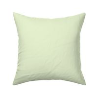 Lime Accent 407 e6f2d0 Solid Color Benjamin Moore Classic Colours