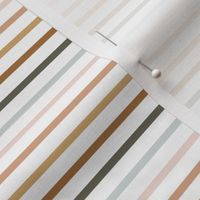 Small /Spring Meadow Stripes