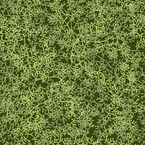 Green mosses 