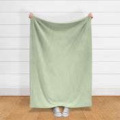 Garland Green 429 d3e0c0 Solid Color Benjamin Moore Classic Colours