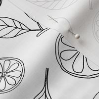 Lemons, oranges, leaves and blooms - hand-drawn black line work  on white