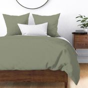 Mistletoe 474 949981 Solid Color Benjamin Moore Classic Colours