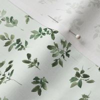 Khaki green Alpine foliage - watercolor leaves - painted nature for home decor wallpaper - greenery leaf natural organic b129-6