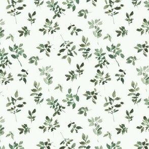 Khaki green Alpine foliage - watercolor leaves - painted nature for home decor wallpaper - greenery leaf natural organic b129-6