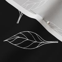 Lemon tree leaves - white hand-drawn linework on black