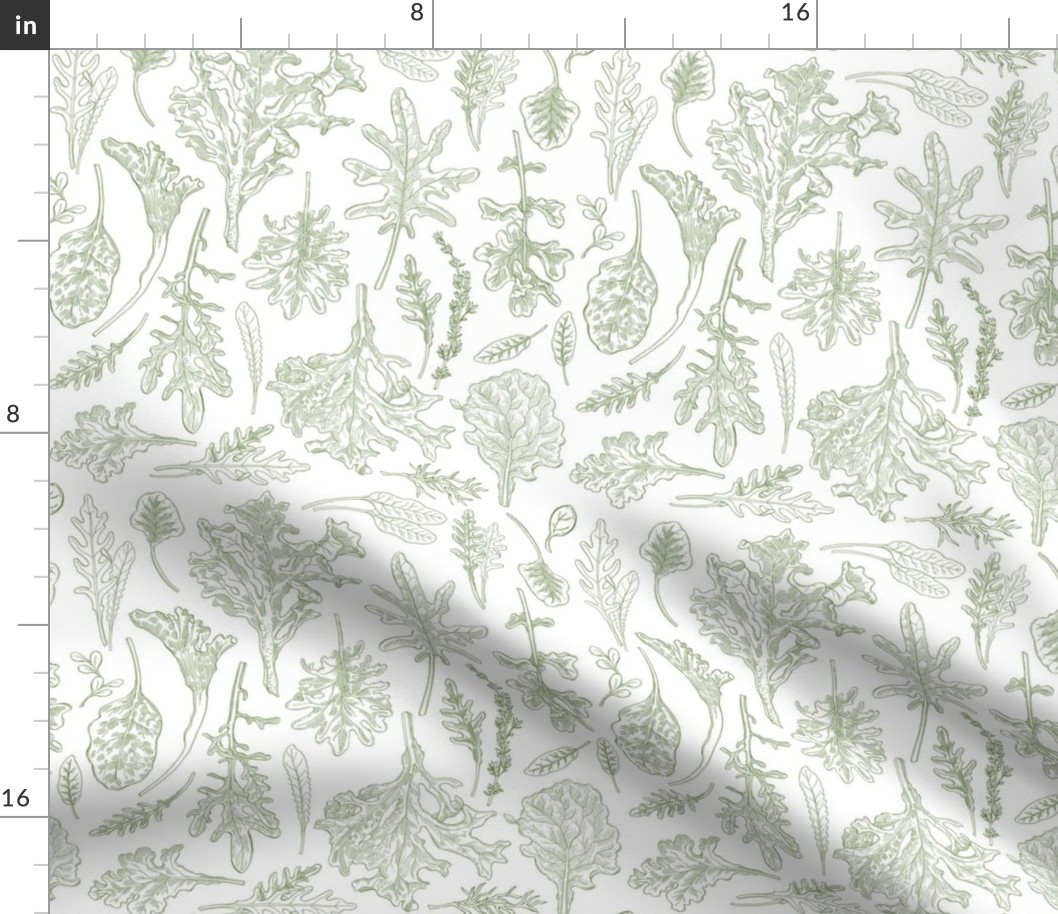 Smaller Salad Greens line art pattern