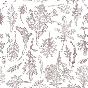 Larger Salad Greens line art pattern