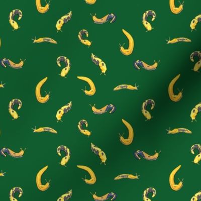Just Banana Slugs - Mini Scale