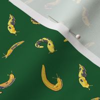 Just Banana Slugs - Mini Scale