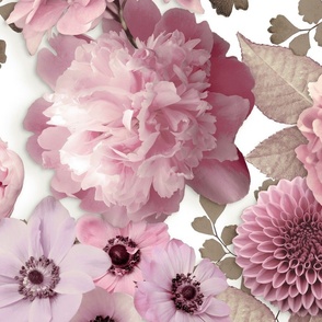 Pastel Pink Pattern Of Roses And Peonies On White Background