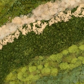 Moss, Lichen, Fern Wall