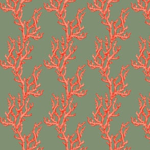 Sea coral stripe on sage green