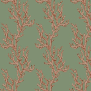 Sea coral stripe on sage green 