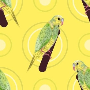 Parakeet Bird—v09_YLW_1800; feather, dot, circle, aviary, tropical, tropic, beach, summer, relax, Cute, Cuter, Cutest Kids Sheets, bright, green, lime, lemon, pet, caribbean, bahamas, safar