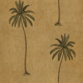 VINTAGE PALM TREES ON ANTIQUE AGED GOLD TEXTURE