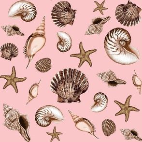 Seashells on pink 