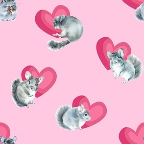 For the Love of Chinchillas Pink