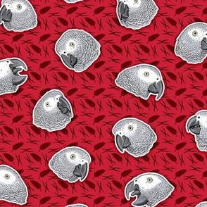 African Grey Parrots Pattern (Red)