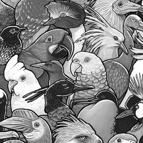 Endangered Birds [Black and White]