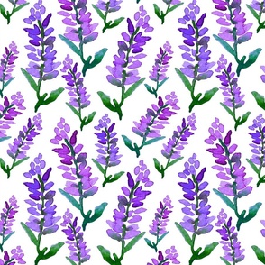 Purple Lavender Pattern 