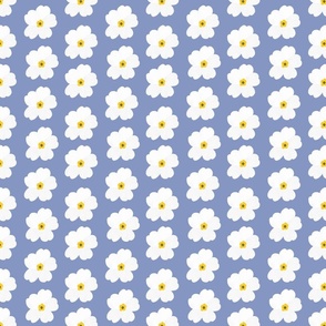 White Primrose pattern