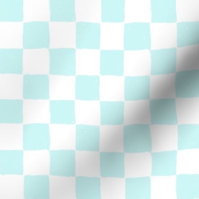Painted 1" Checkerboard // Mint