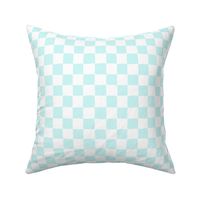 Painted 1" Checkerboard // Mint