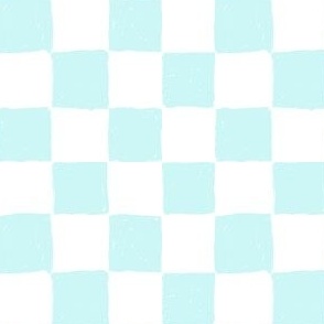 Painted 1" Checkerboard // Mint